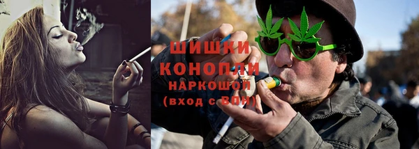спиды Ельня