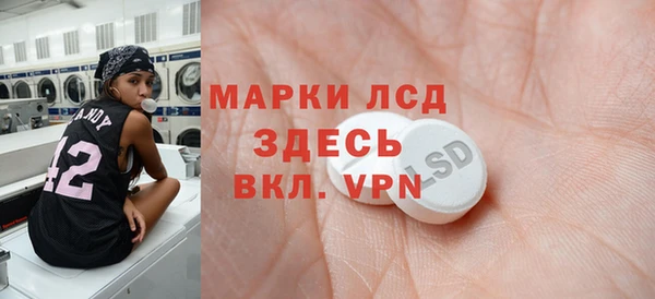 спиды Ельня