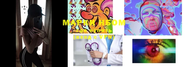 спиды Ельня