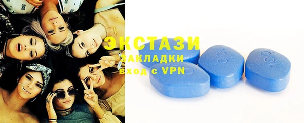 спиды Ельня