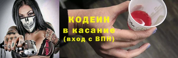 спиды Ельня