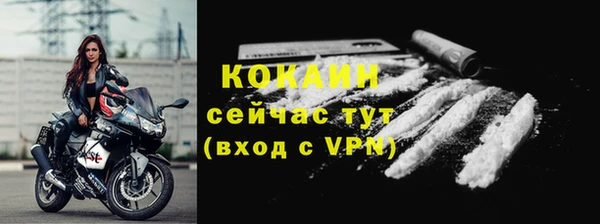спиды Ельня