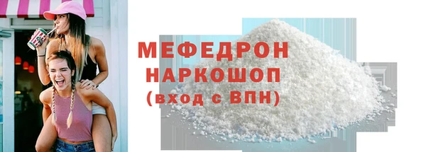 спиды Ельня