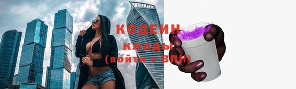 спиды Ельня