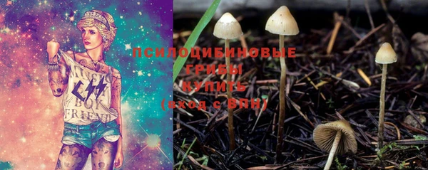 спиды Ельня