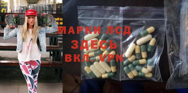 спиды Ельня