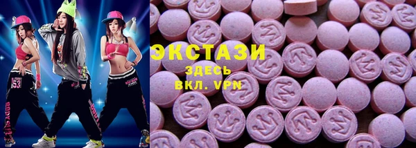 спиды Ельня