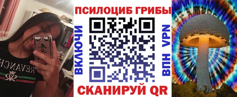 Псилоцибиновые грибы прущие грибы  Купить закладки  Новотитаровская 